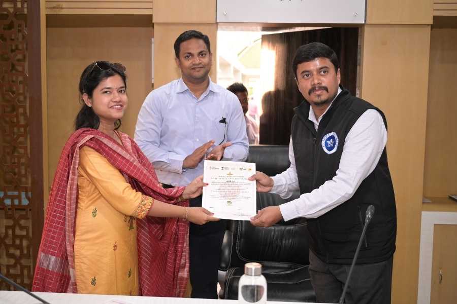 Jungleciti House award and recognition