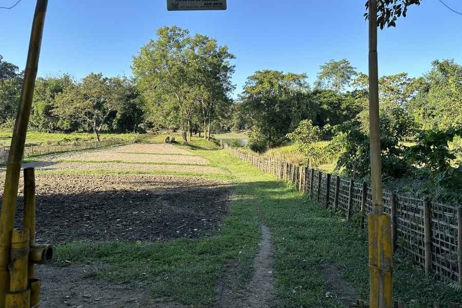 Kitchen garden and sustainable food inspiration