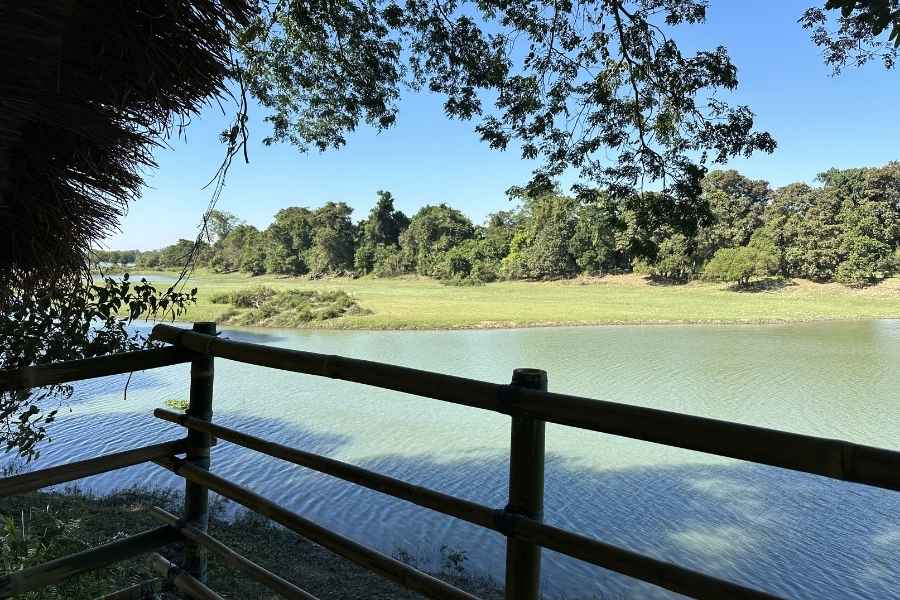 River-side view around Jungleciti House