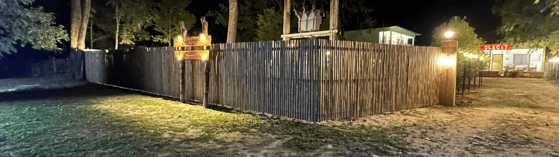 Jungleciti House exterior and greenery