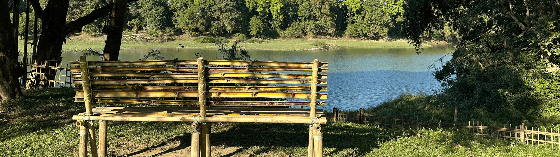 Jungleciti House photo 5