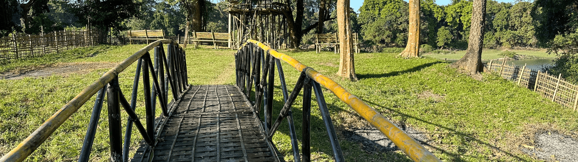 Jungleciti House photo 6