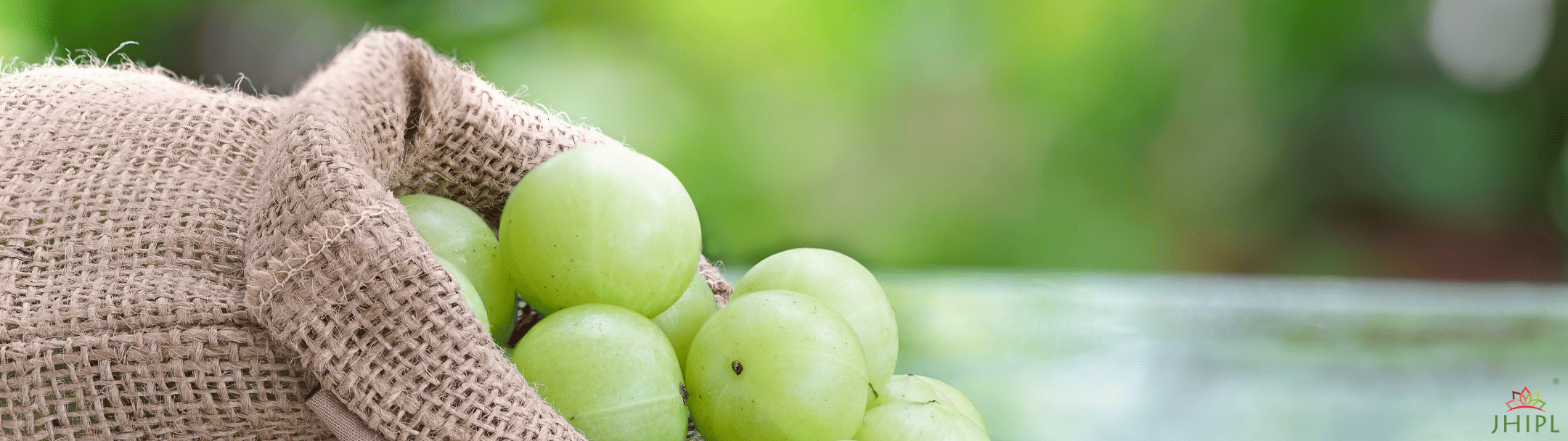 Assam countryside and flora