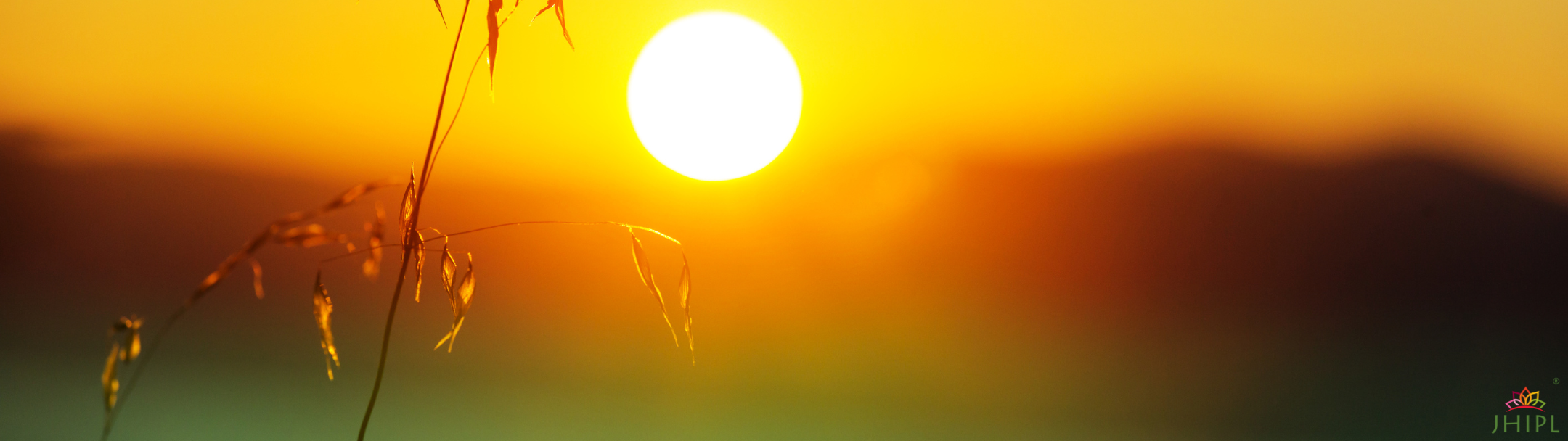 Evening mood over Kaziranga