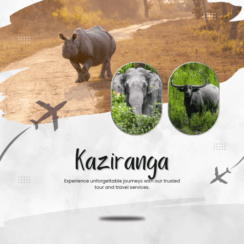 Custom Designed Tours