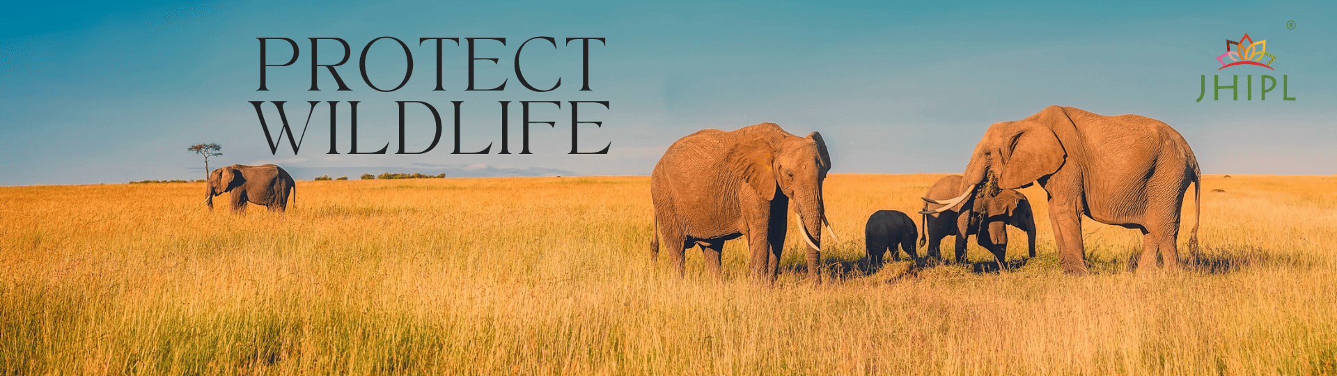 Protect Wildlife